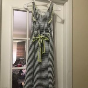 Ann Taylor Loft Gray Striped Dress